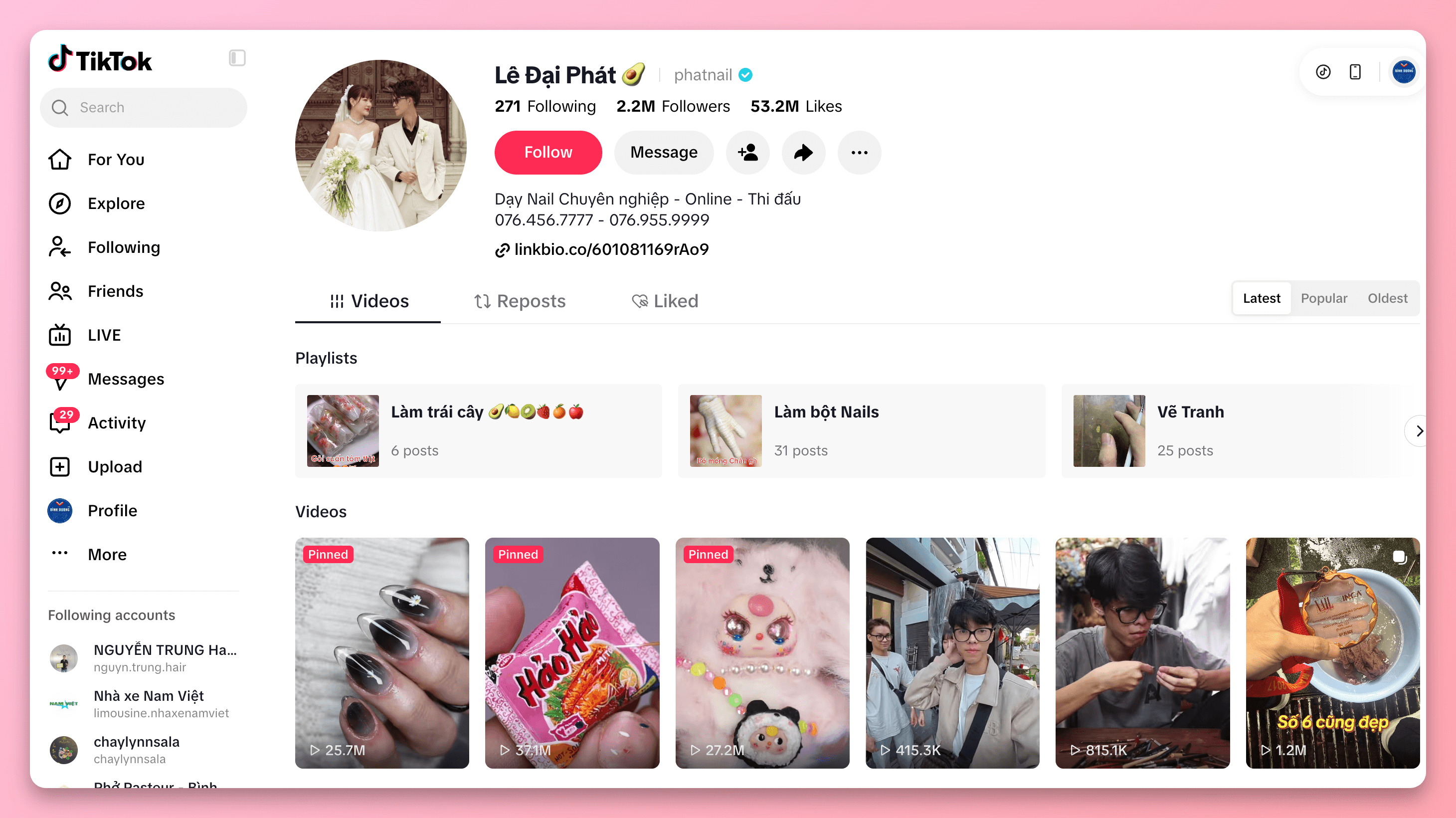 Le Dai Phat – TikTok Profile Verification